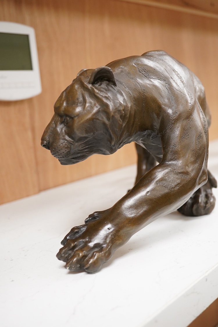 After Salvatore Melani (1902-1934), contemporary patinated bronze of a tiger, 39cm wide